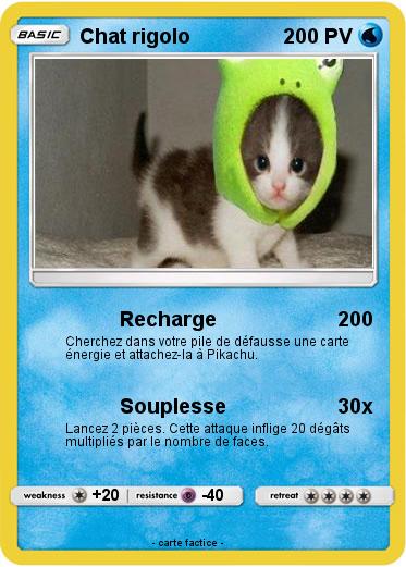 Pokemon Chat rigolo