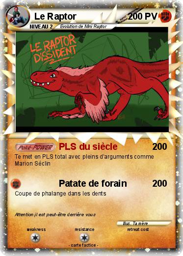 Pokemon Le Raptor