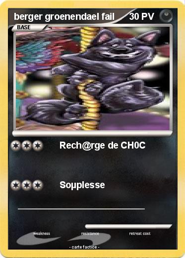 Pokemon berger groenendael fail