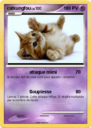 Pokemon catkungfou
