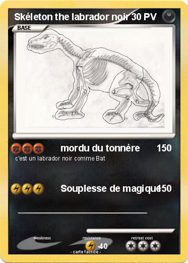 Pokemon Skéleton the labrador noir
