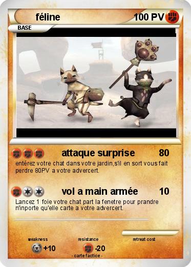 Pokemon féline