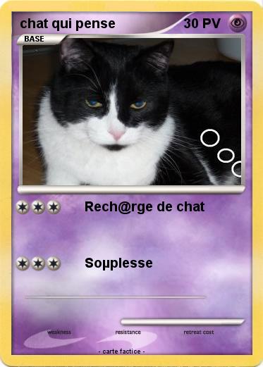 Pokemon chat qui pense