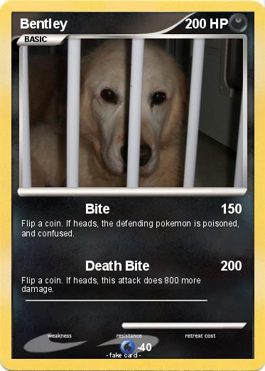Pokemon Bentley