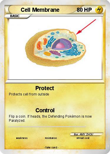 Pokemon Cell Membrane