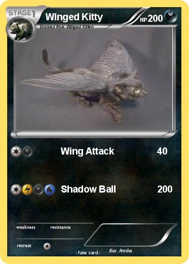 Pokemon WInged Kitty
