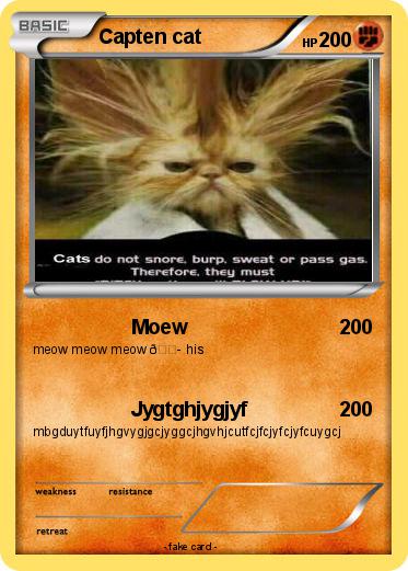 Pokemon Capten cat
