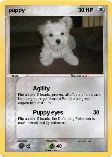 Pokemon puppy