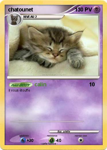 Pokemon chatounet