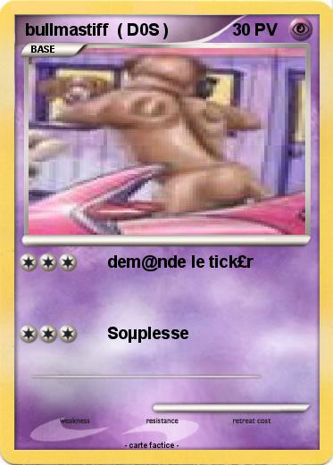 Pokemon bullmastiff  ( D0S )