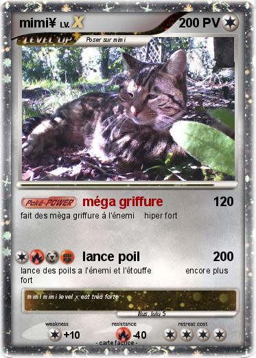 Pokemon mimi¥