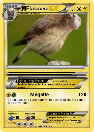 Pokemon Flatouva