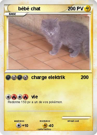 Pokemon bébé chat