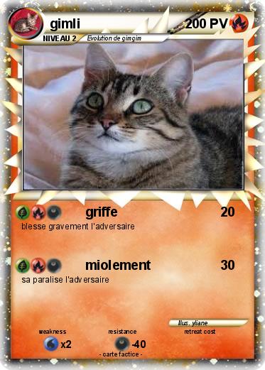 Pokemon gimli