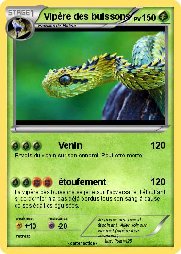 Pokemon Vipère des buissons