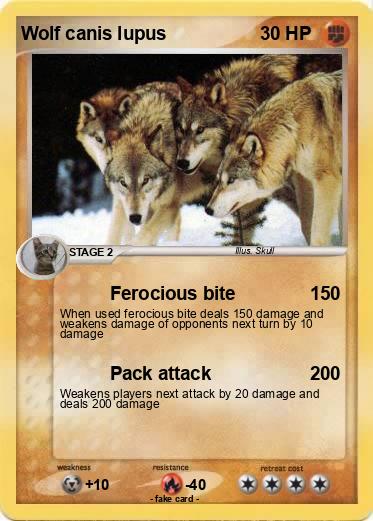 Pokemon Wolf canis lupus