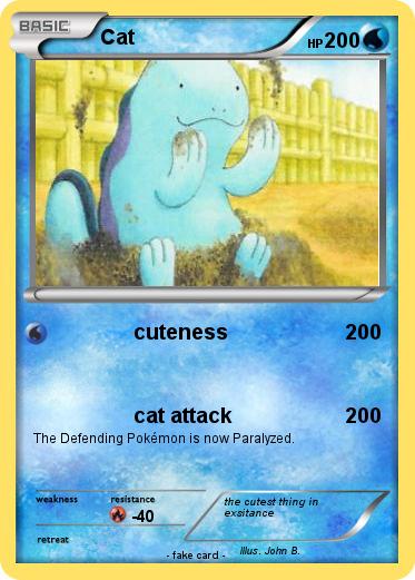 Pokemon Cat