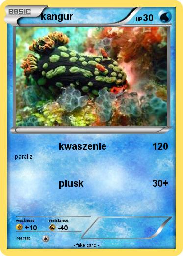 Pokemon kangur