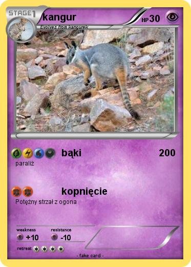 Pokemon kangur