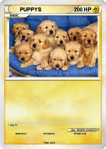 Pokemon PUPPYS