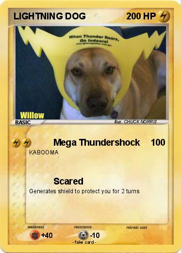 Pokemon LIGHTNING DOG
