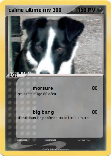 Pokemon caline ultime niv 300 