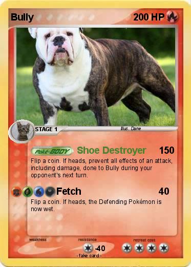 Pokemon Bully
