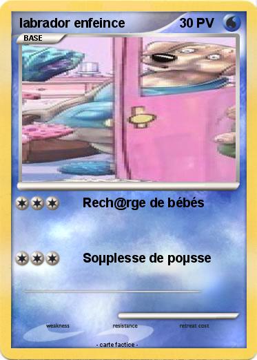 Pokemon labrador enfeince