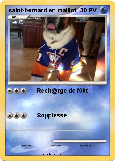 Pokemon saint-bernard en maillot