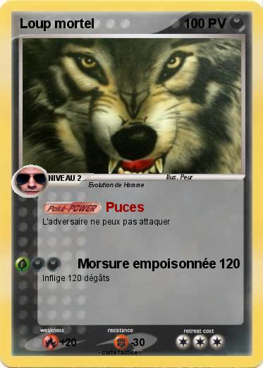 Pokemon Loup mortel