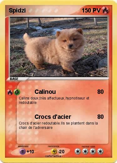 Pokemon Spidzi