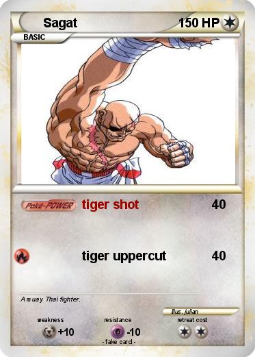 Pokemon Sagat