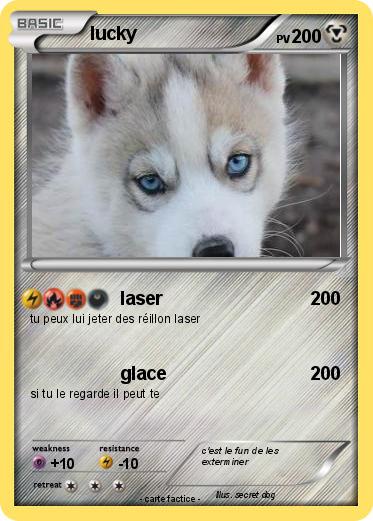 Pokemon lucky