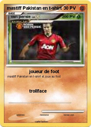 Pokemon mastiff Pakistan en t-shirt