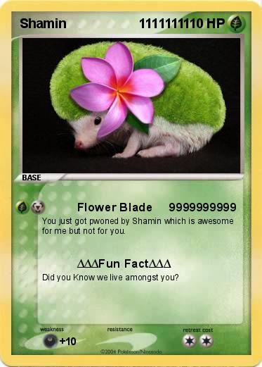 Pokemon Shamin                    1111111