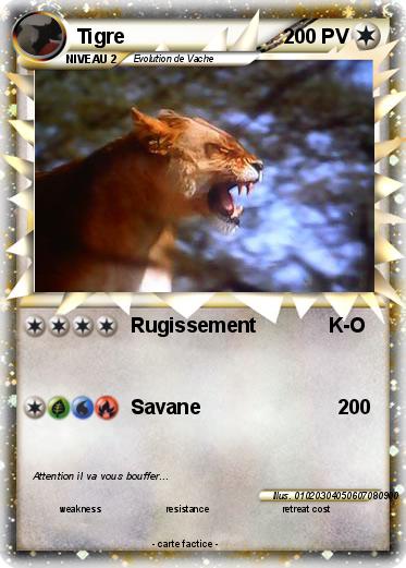 Pokemon Tigre