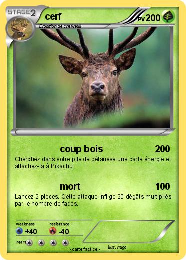 Pokemon cerf