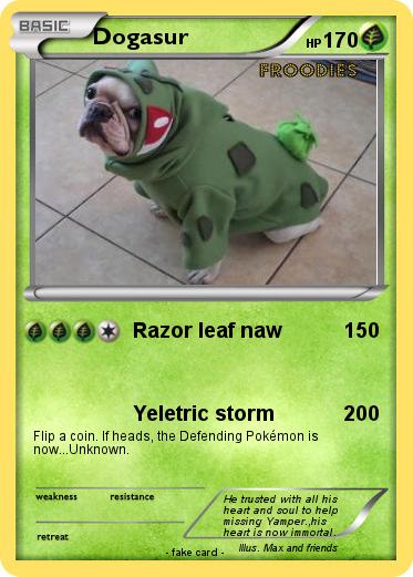 Pokemon Dogasur
