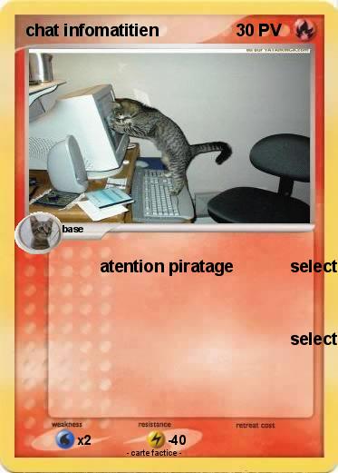 Pokemon chat infomatitien