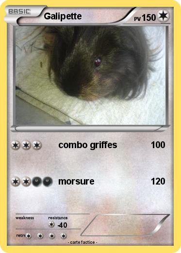 Pokemon Galipette
