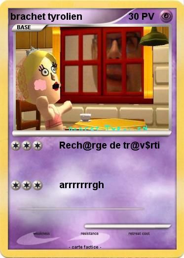 Pokemon brachet tyrolien