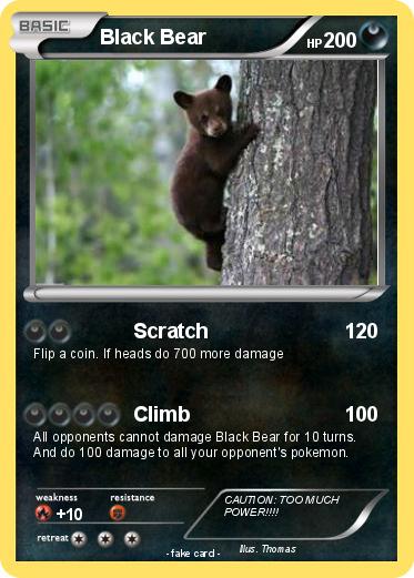 Pokemon Black Bear
