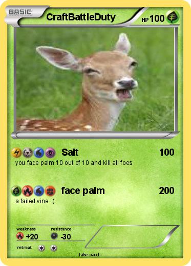 Pokemon CraftBattleDuty