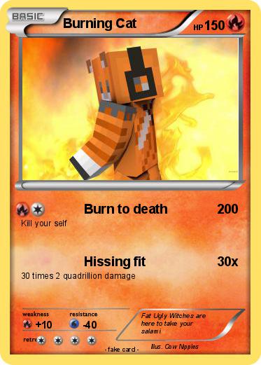 Pokemon Burning Cat