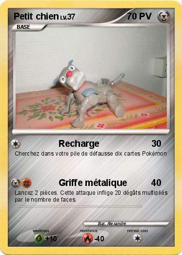 Pokemon Petit chien