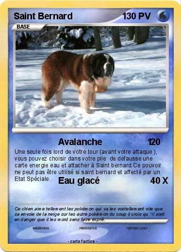Pokemon Saint Bernard                    1