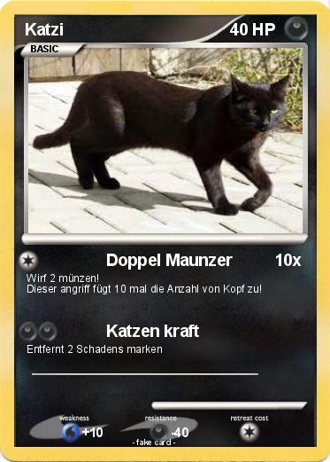 Pokemon Katzi