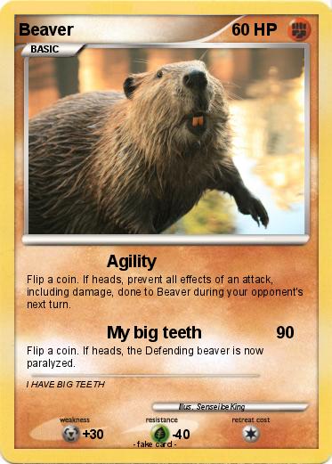 Pokemon Beaver