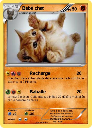 Pokemon Bébé chat