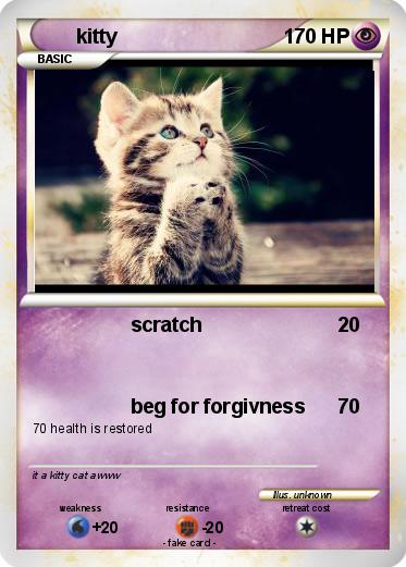 Pokemon kitty